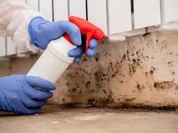 Best Asbestos and Lead Testing During Mold Inspection  in Aberdeen, OH